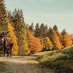 Hochwertige Alpenchalets Allgaeu شقة ايمنستادت ام الغو